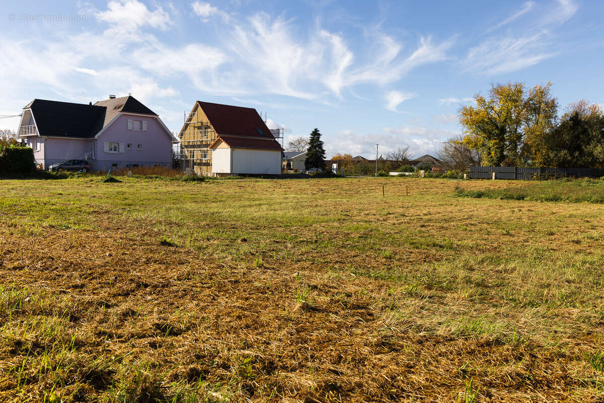 Terrain à BLODELSHEIM