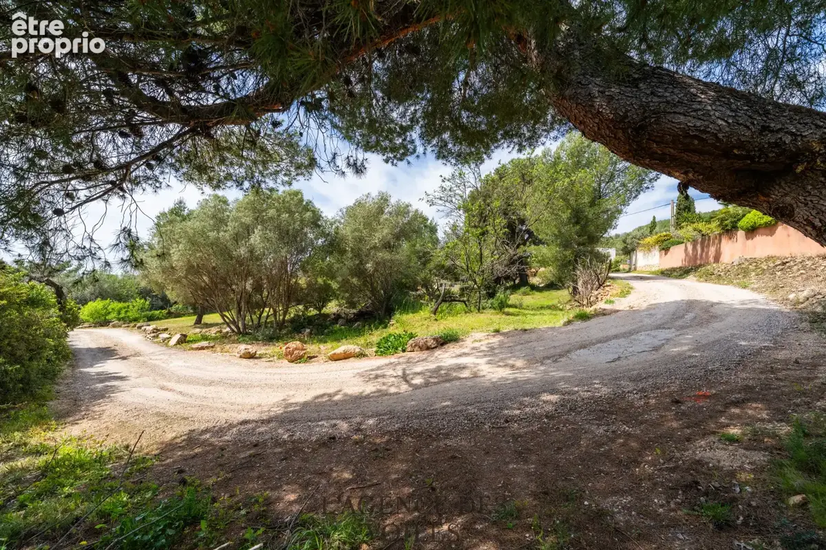 Terrain 1344 m2 sur la commune de Bandol - photo 5