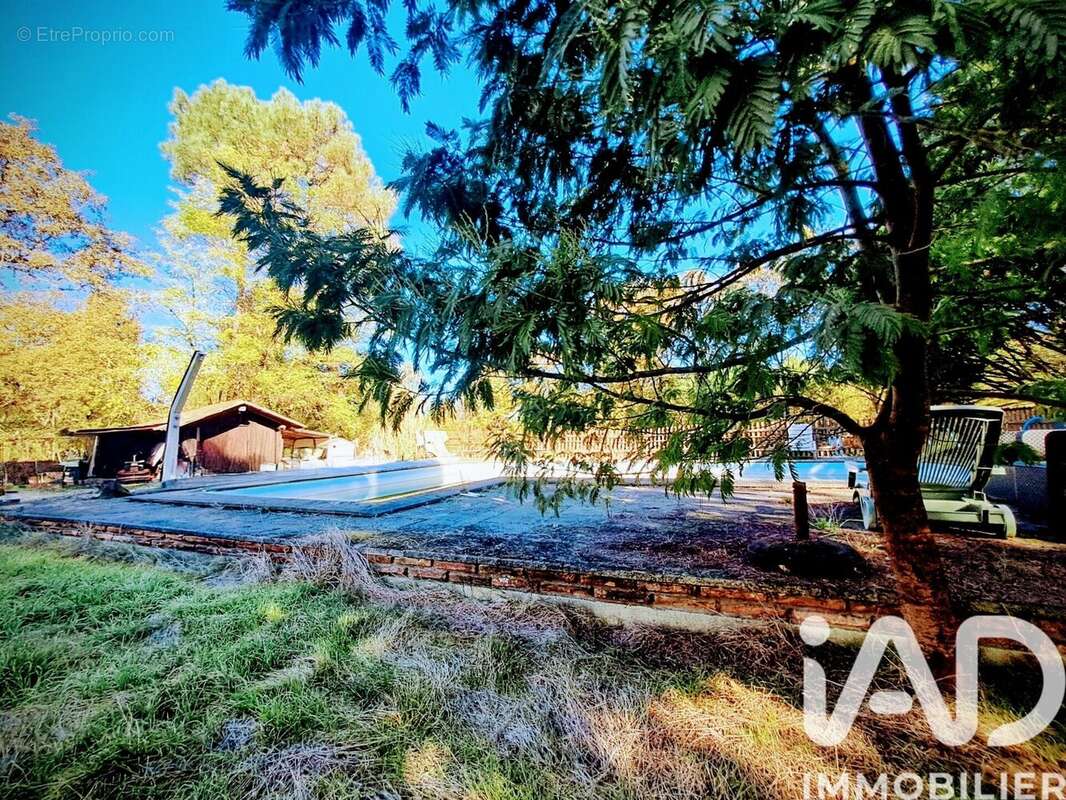 Photo 6 - Maison à SAUGNACQ-ET-MURET