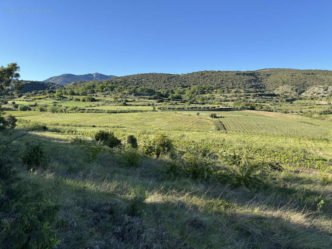 Terrain à MONTPEYROUX