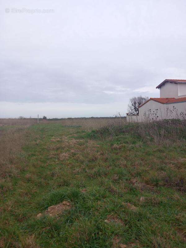 Terrain à CHATELAILLON-PLAGE