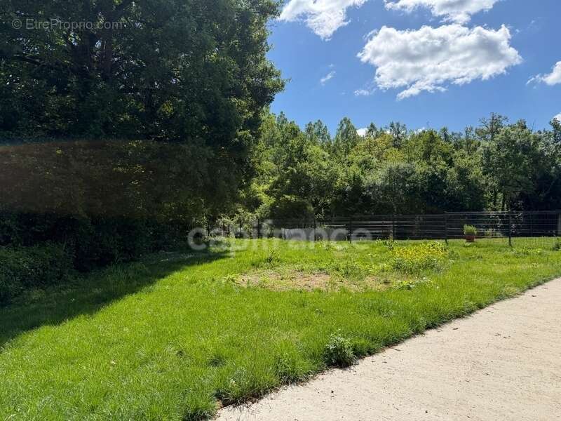 Maison à vendre 5 pièces JOIGNY (89) plain pied de 2018  3 chambres Garage Terrain de 800 m2 - photo 4