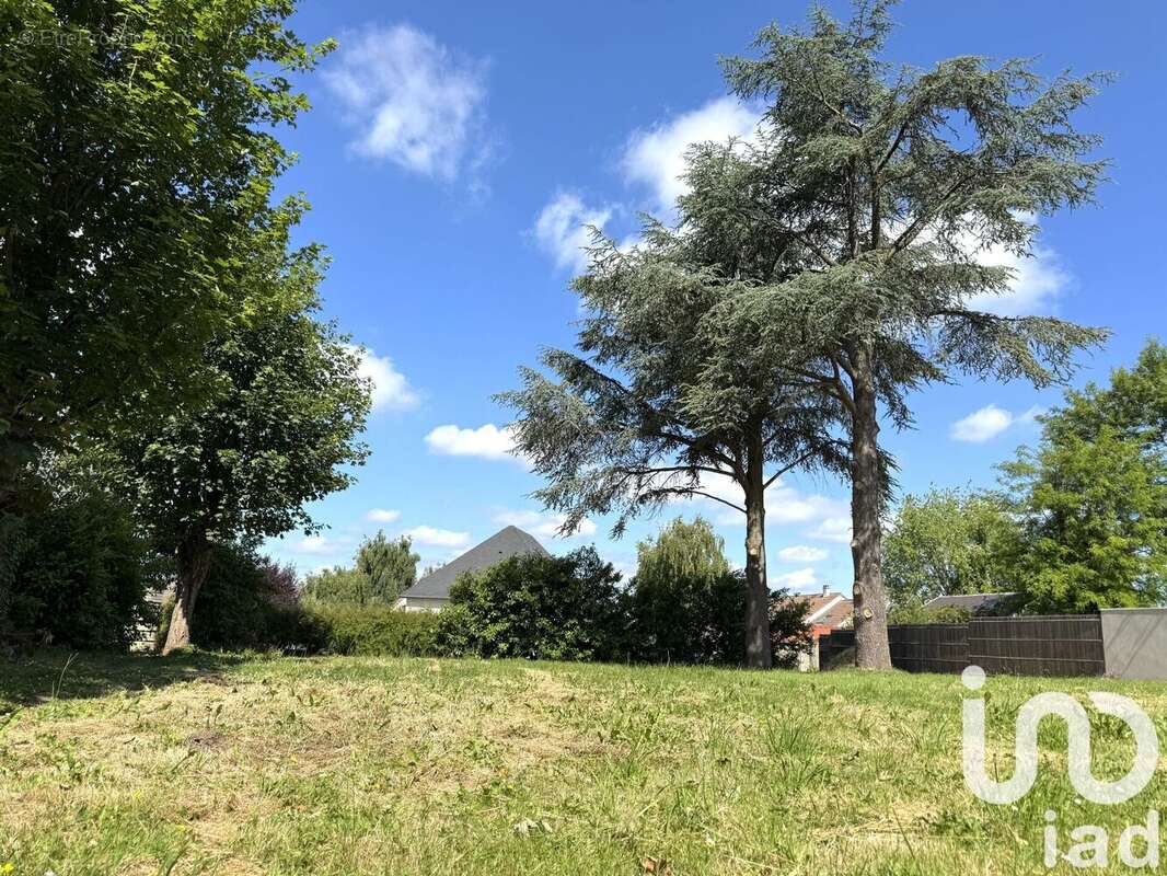 Photo 4 - Terrain à NOISY-LE-ROI