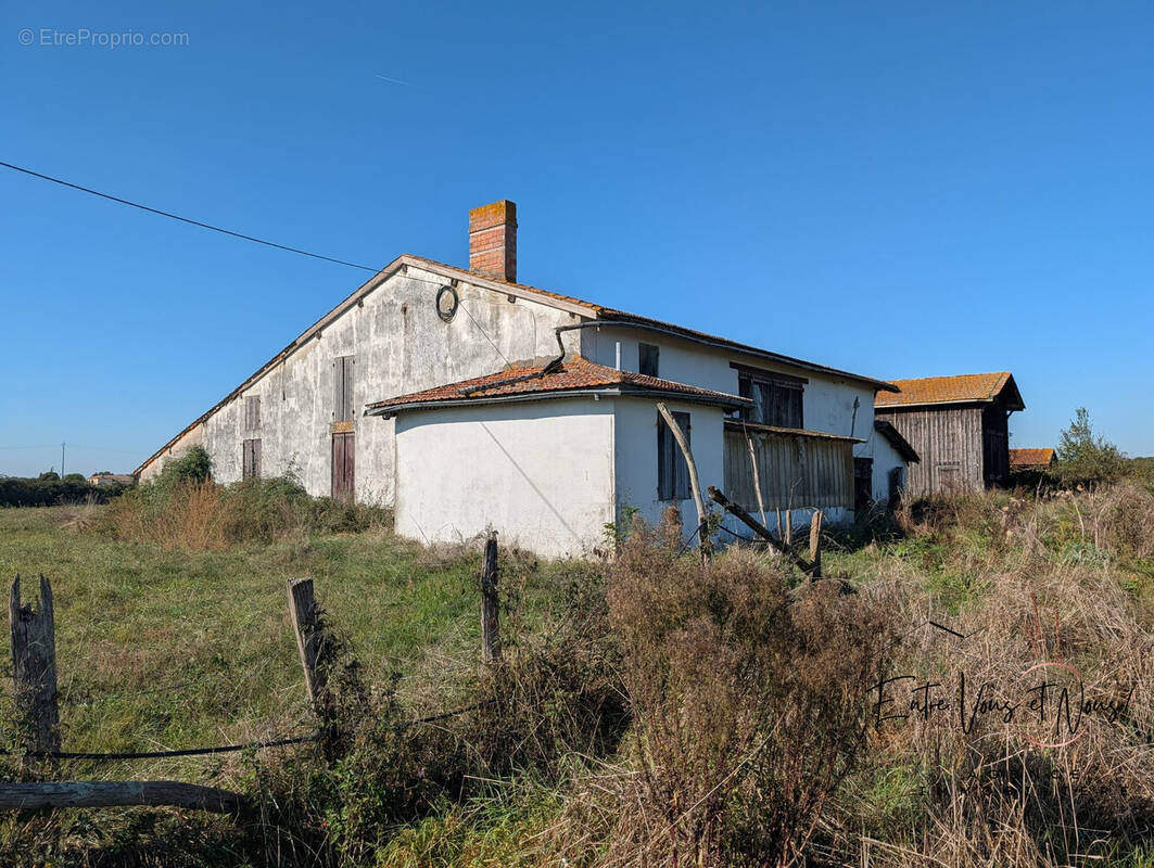 Maison 4 pièces 78 m² à vendre à Noaillac (33190) - photo 3