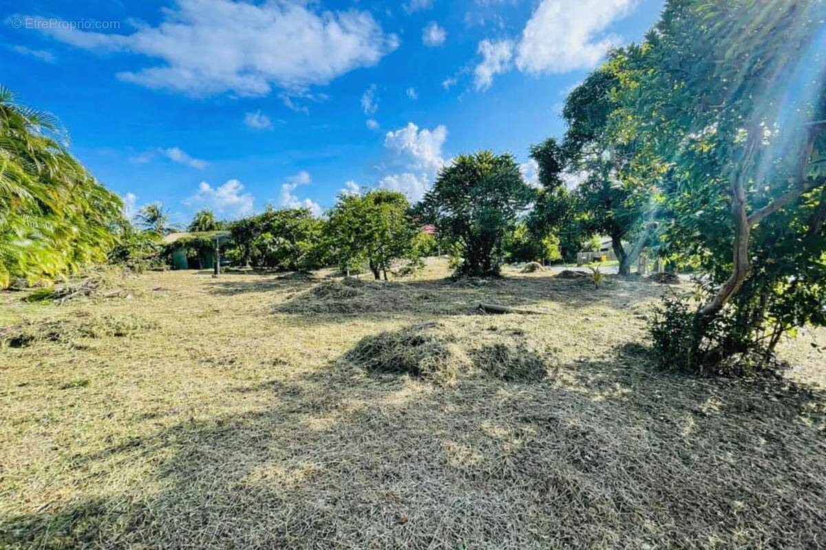 Terrain à LE VAUCLIN