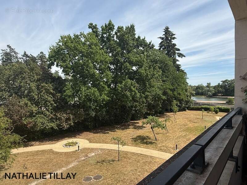 Appartement à vendre 3 pièces CHEMIN DE HALAGE ORLEANS limite SAINT JEAN DE BRAYE , bord de Loire - photo 5