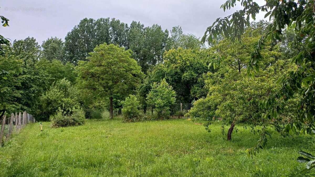 Maison lassigny, jardin, dependances - photo 8