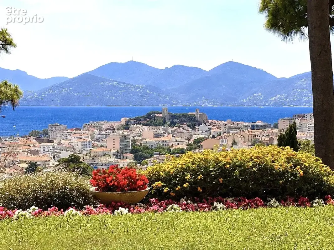 Cannes Vente 3/4 pièces au calme absolu vue mer - photo 3