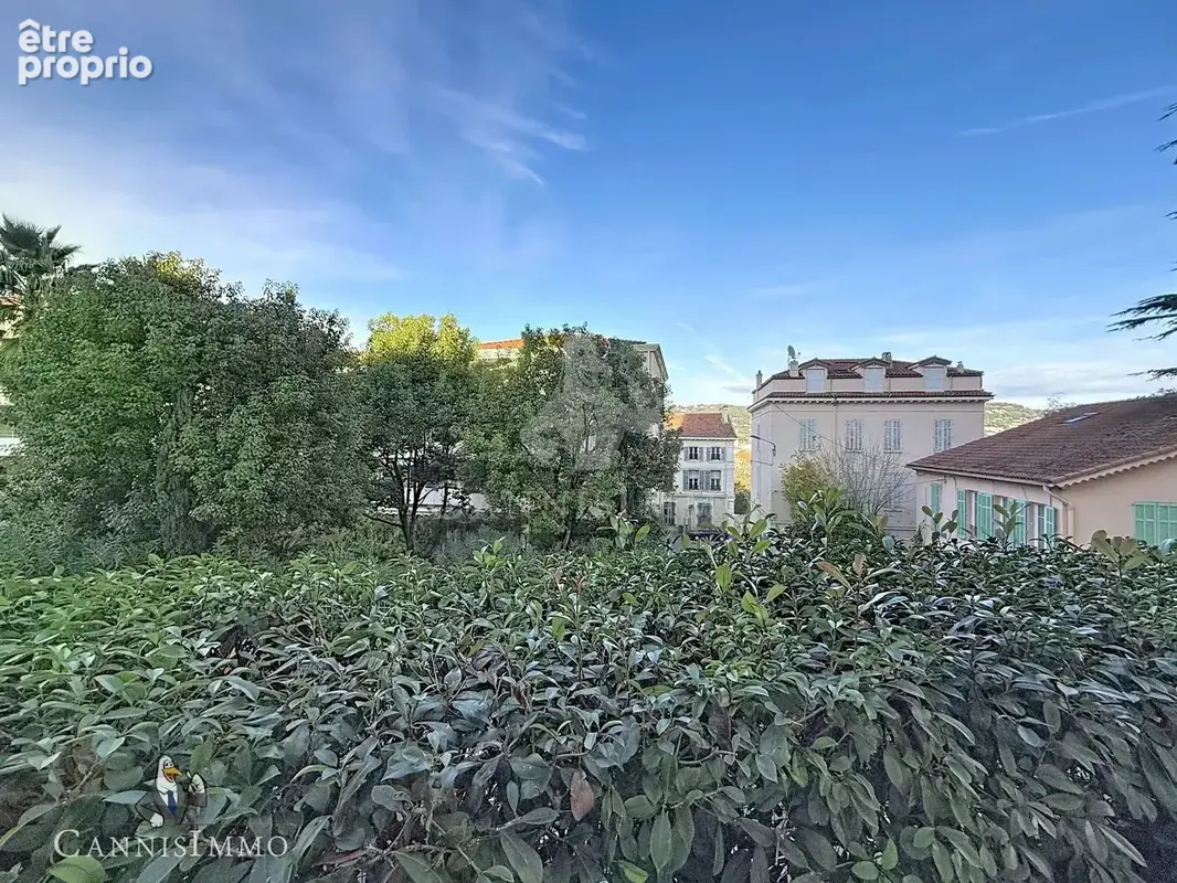 3p entièrement rénové cannes forville limite banane - parking + 2 caves - photo 5