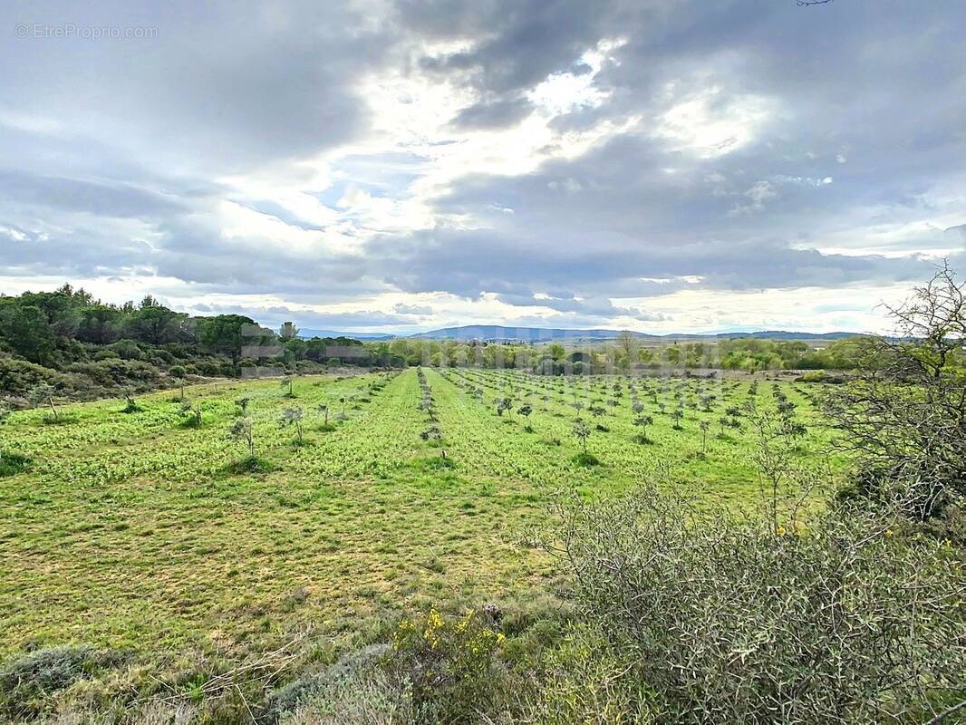 Terrain à LEZIGNAN-CORBIERES