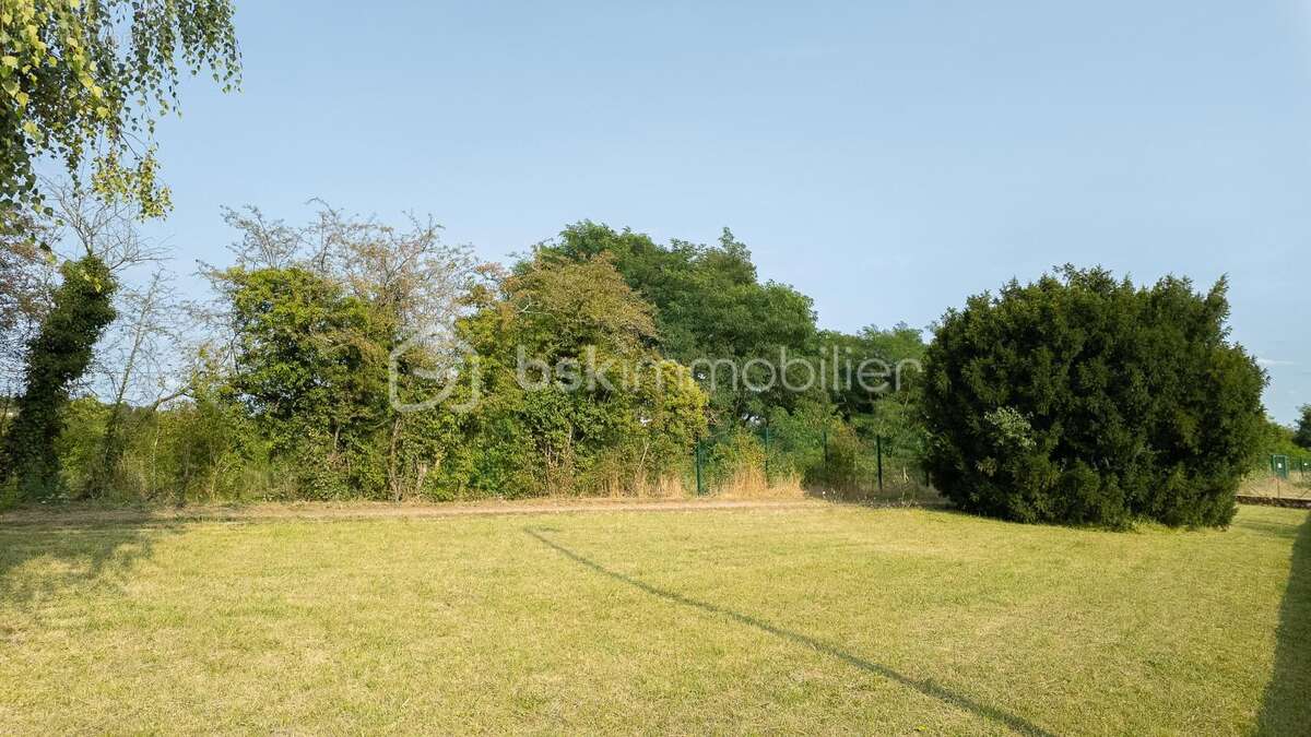 Charmante maison de caractère avec son agréable terrain, sa grande cave (et chaufferie) dans un quartier prisé et recherché de l - photo 18