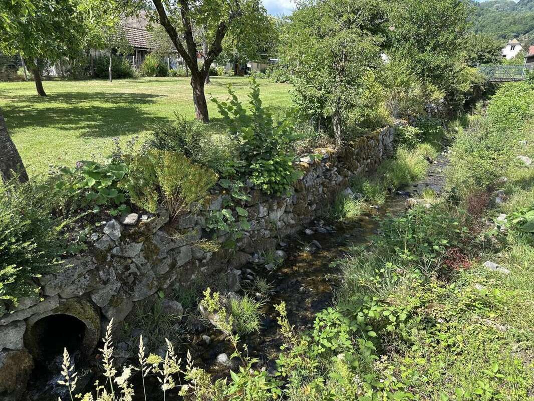 IMG_0319 - Terrain à ODEREN