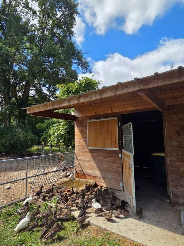 Propriété Corps de Ferme, Bâtisse d'habitation de caractère , nombreuses dependances dont Box, proche ALENCON, LE PERCHE, 2h00 P - photo 8