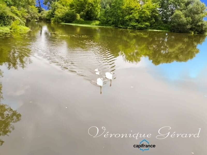 Maison à MOULIN-NEUF