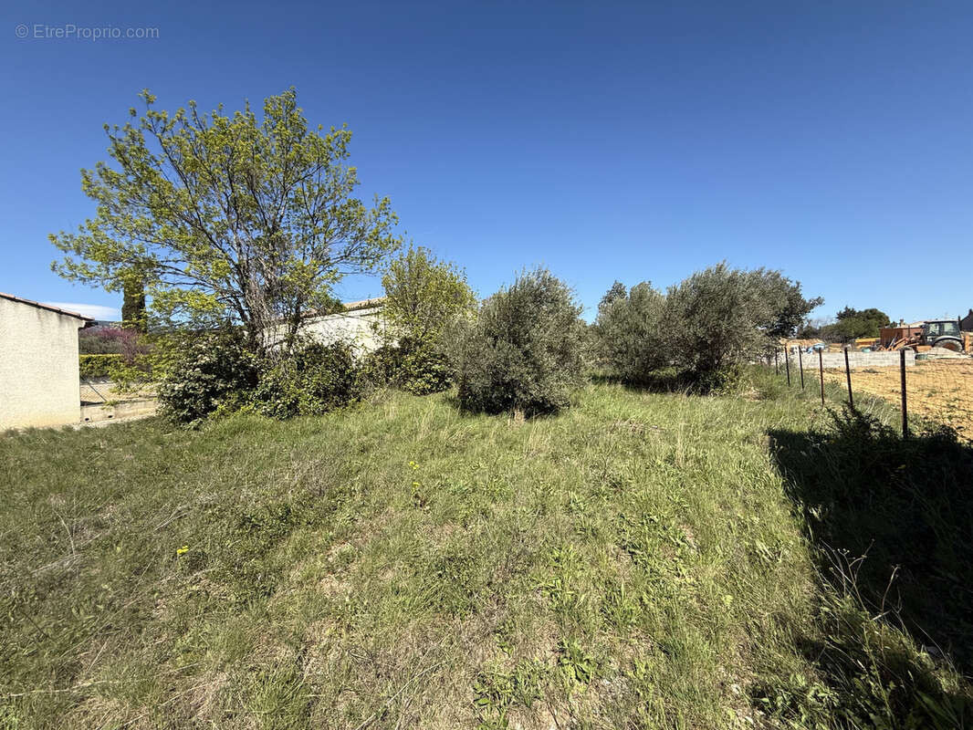 Terrain à MONTPEYROUX