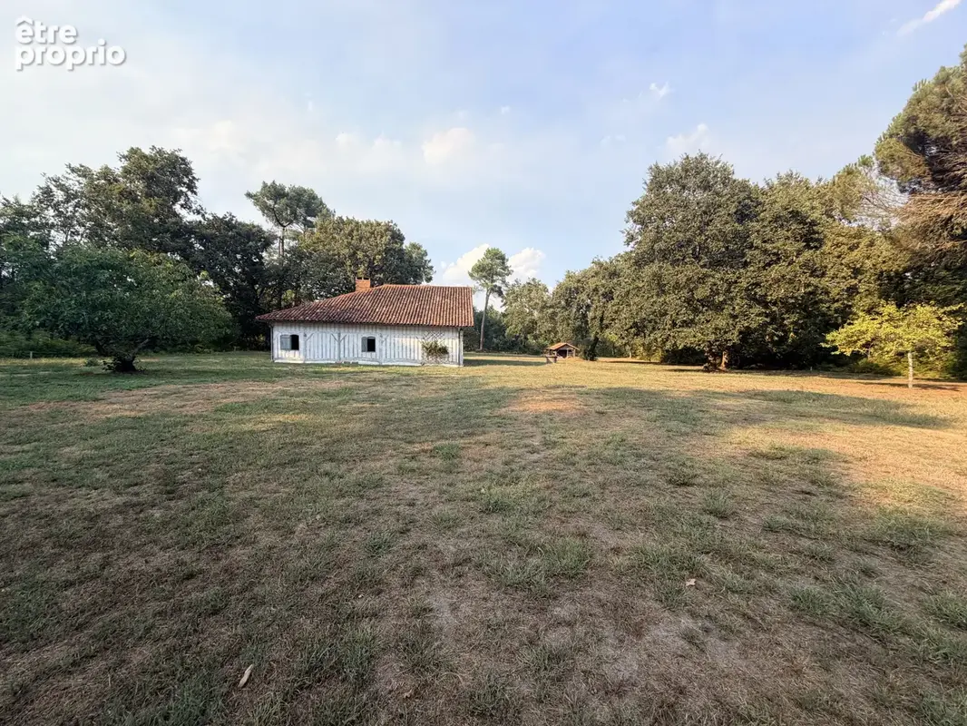 Authentique maison landaise   198 m2   1.5 hectare - photo 4