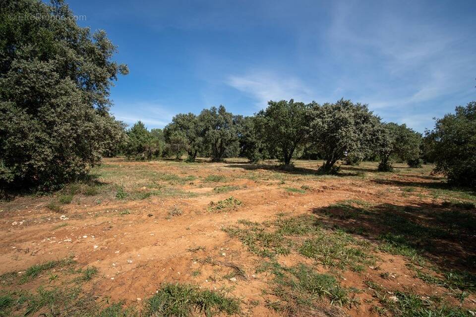 Terrain à SAINT-SIFFRET