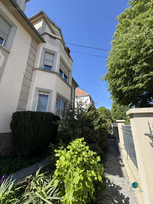 Appartement à ECKBOLSHEIM