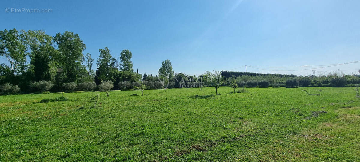 Cavaillon mas en campagne sur 9300 m² de terrain. - photo 11