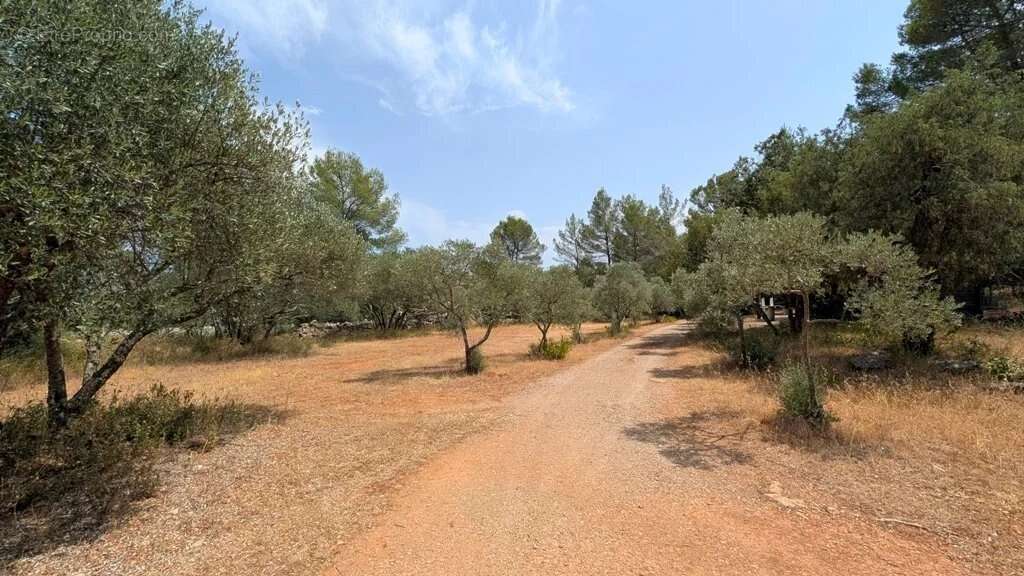 CARCES Propriété sur 7.5 hectares - photo 9