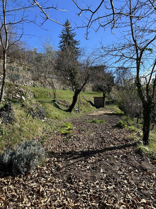 Maison à ROQUEBILLIERE