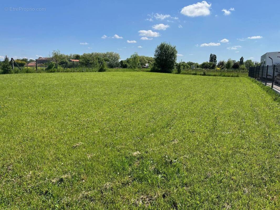 Terrain à HOULETTE