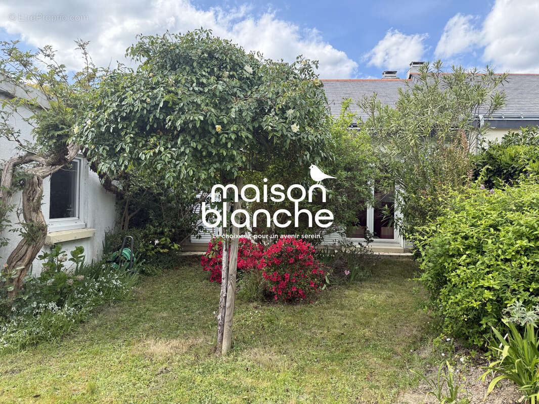 Maison à ANGERS