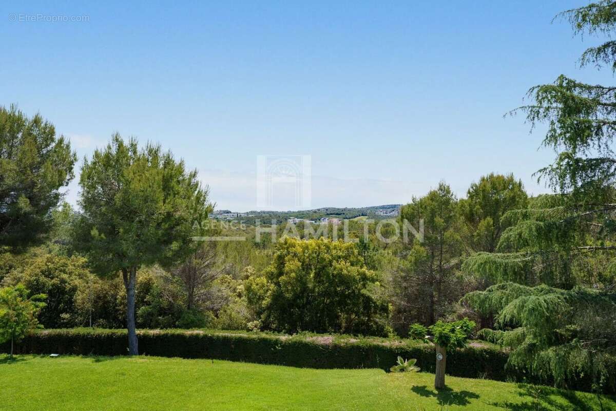 Biot villa avec vue, 4 chambres et une maison d'amis avec 2 cham - photo 17