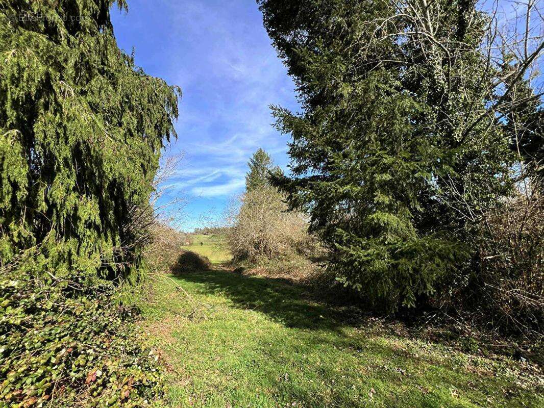 Fermette Savignac Ledrier 175 m2 - photo 14