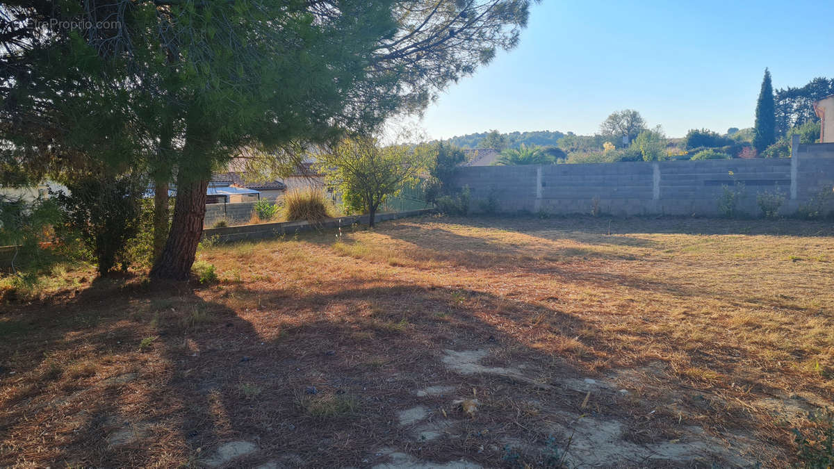 Terrain à SAINT-PONS-DE-MAUCHIENS