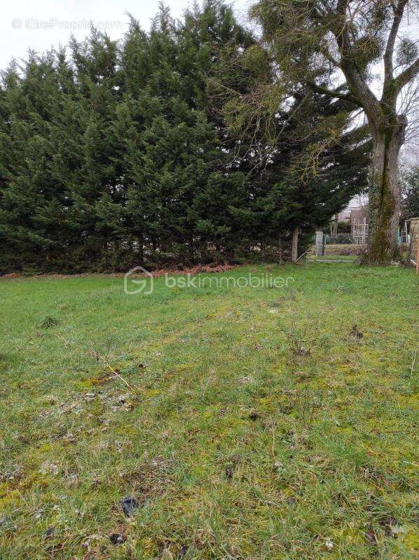 Terrain de 959 m² - photo 2