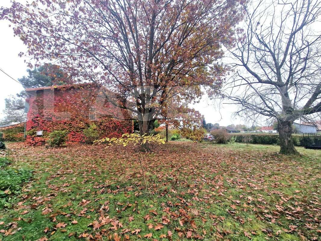 20251029_110859 - Maison à MOISSAC