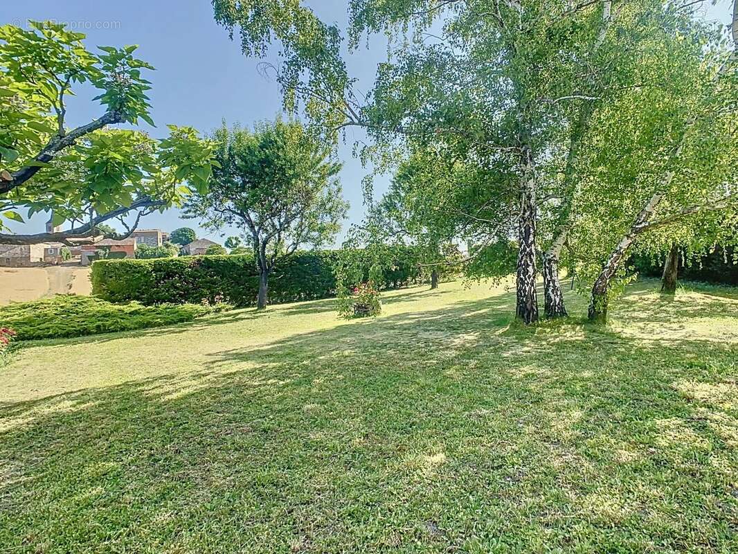 Maison à CORDES-SUR-CIEL