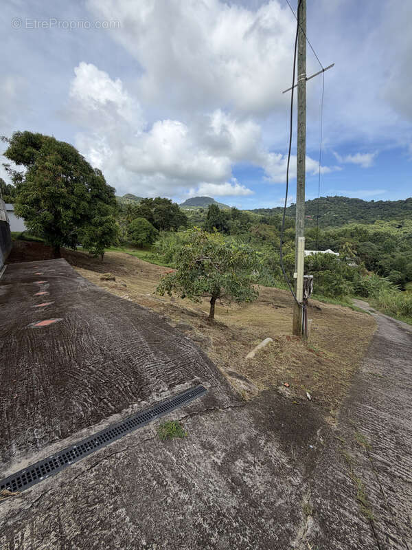Terrain à RIVIERE-PILOTE
