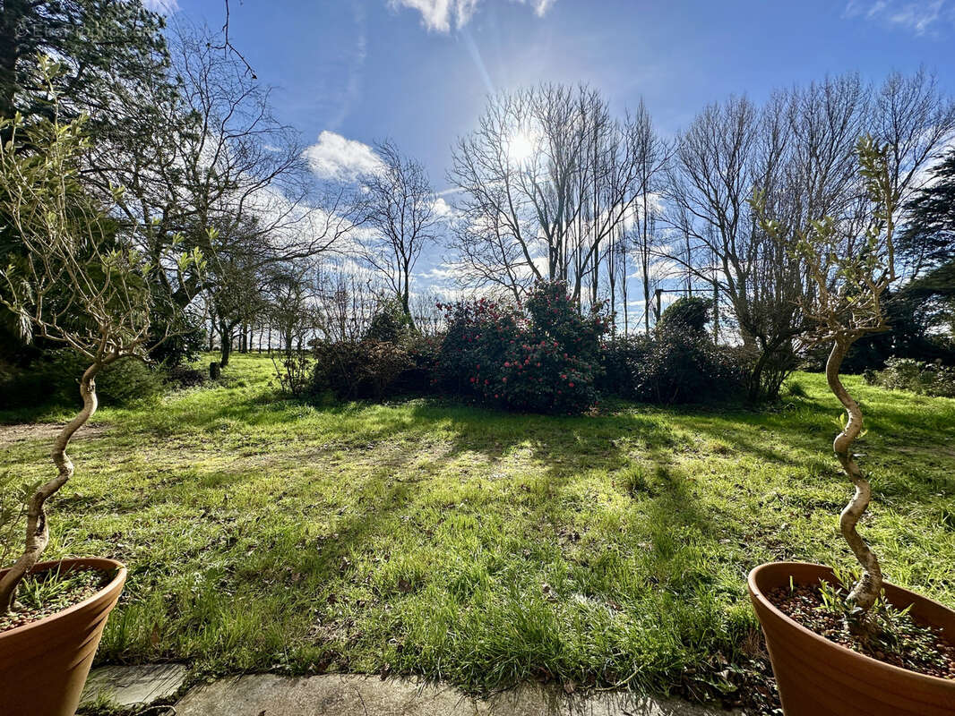 Maison 244 m² à Ploezal  - photo 3