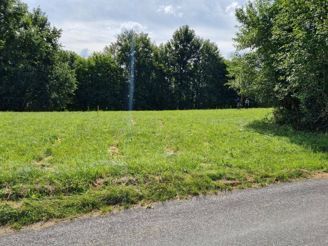 Terrain à SAINT-ANDRE-D&#039;ALLAS