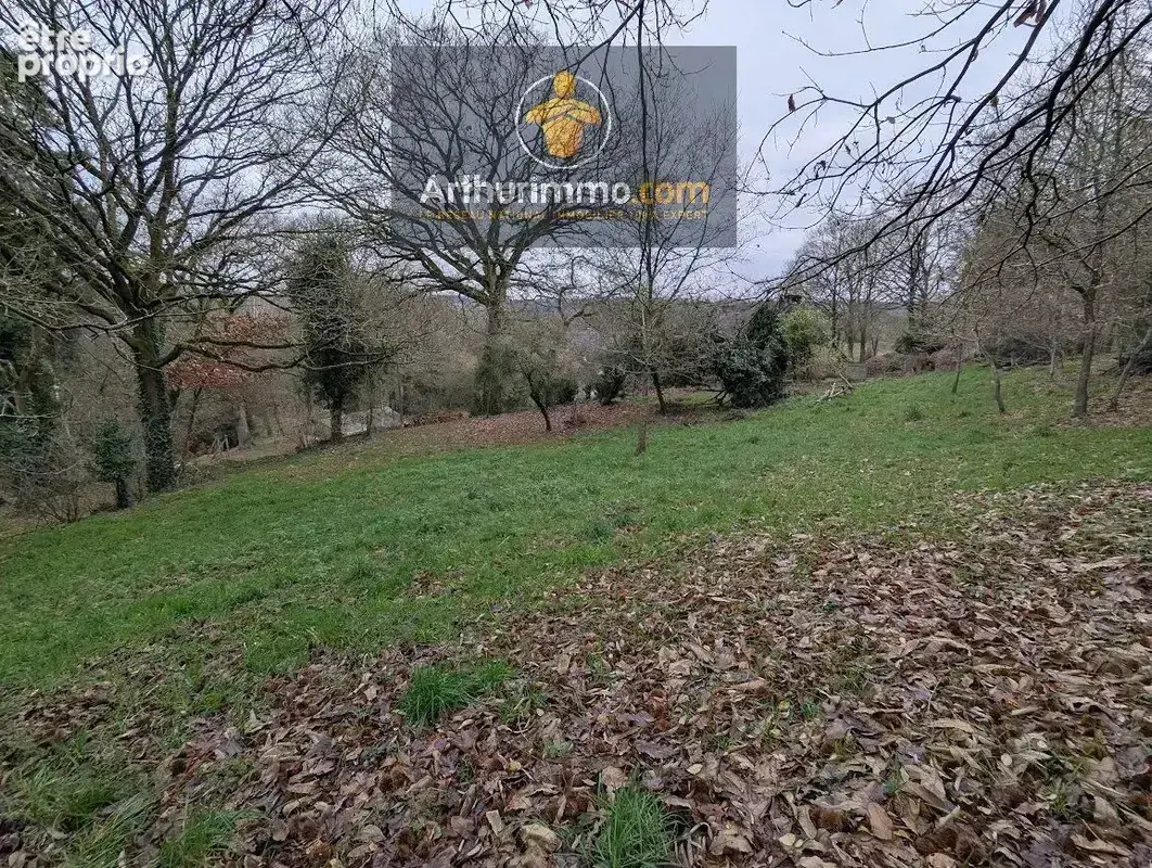 Vente Terrain Taupont(56800) 24 000ï¿œ - photo 5