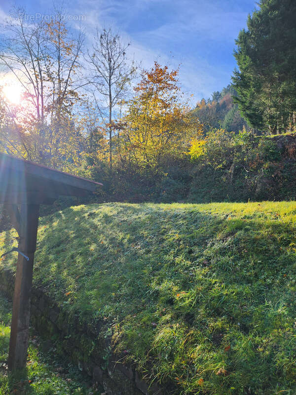 Maison à WANGENBOURG-ENGENTHAL