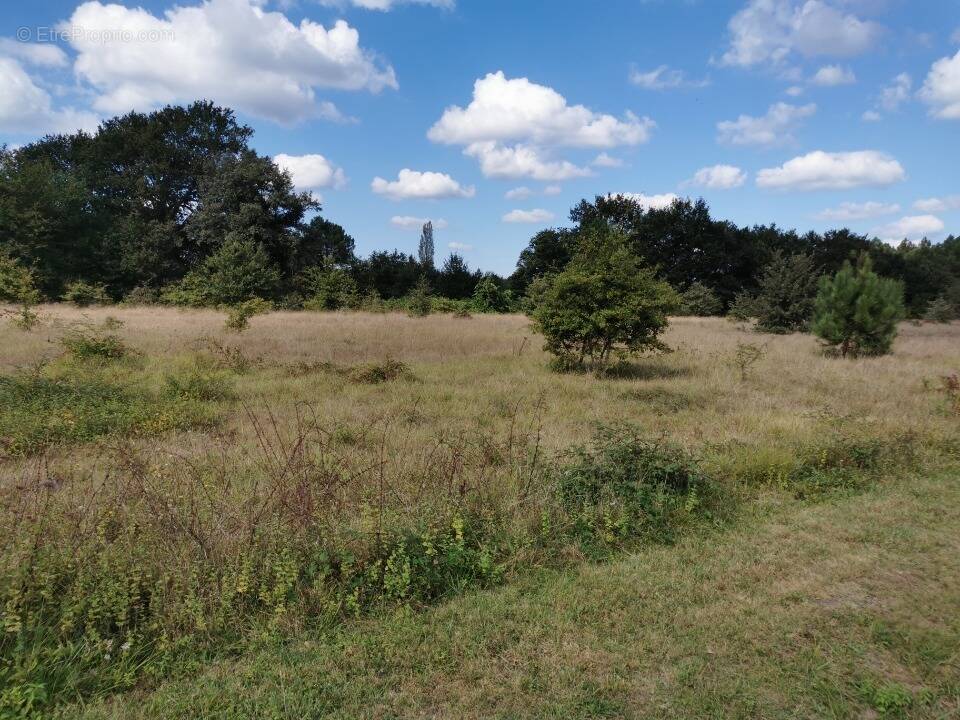 Terrain à MIOS