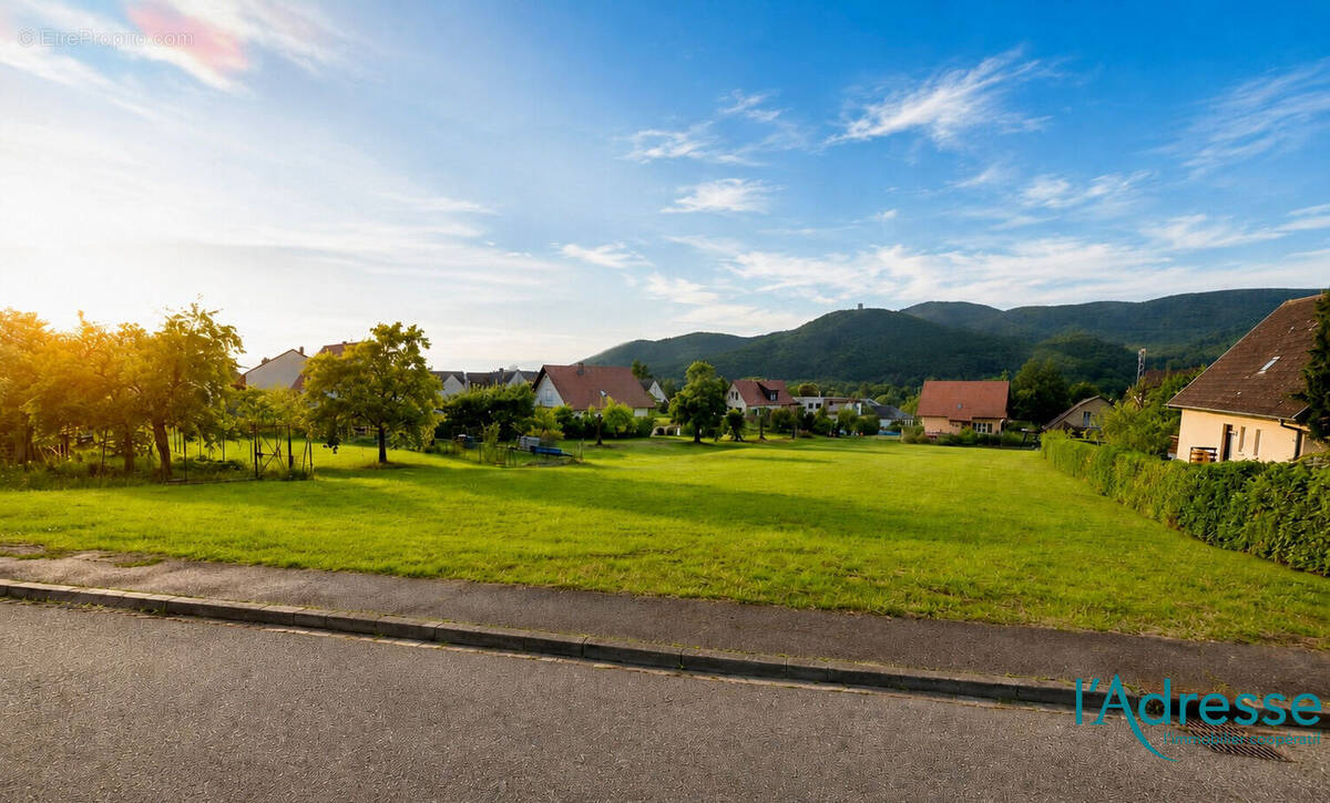 Terrain à ZIMMERBACH