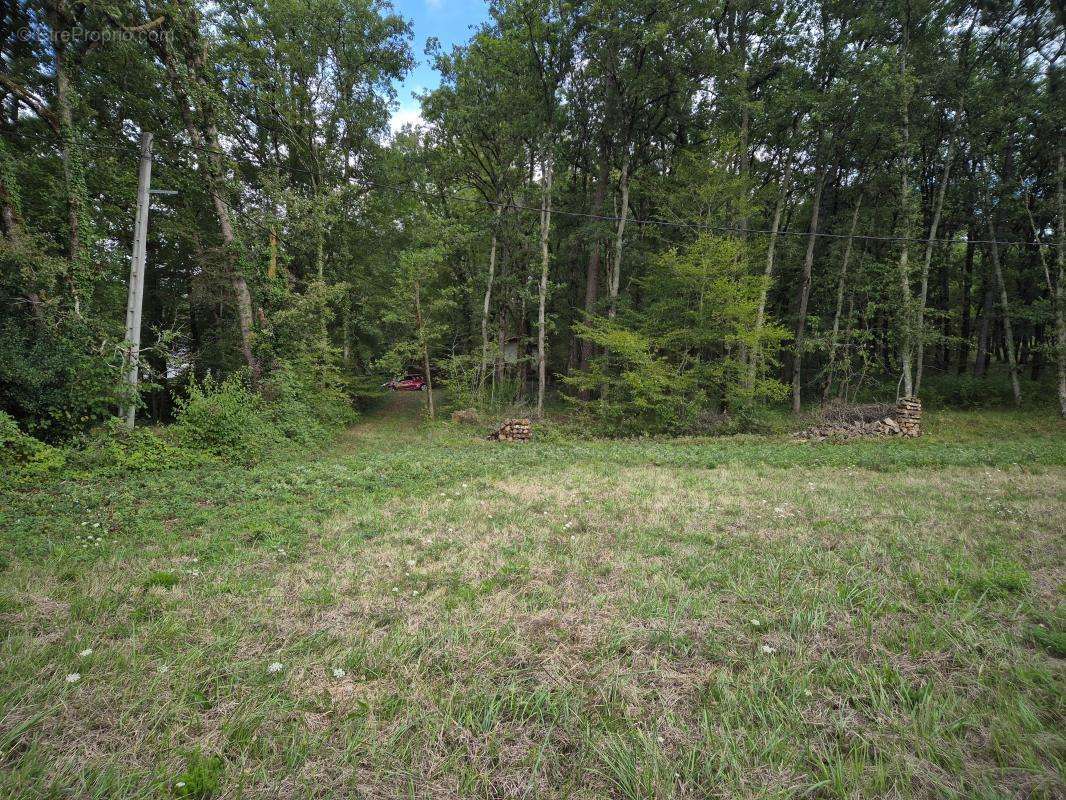 Terrain à CHANCELADE