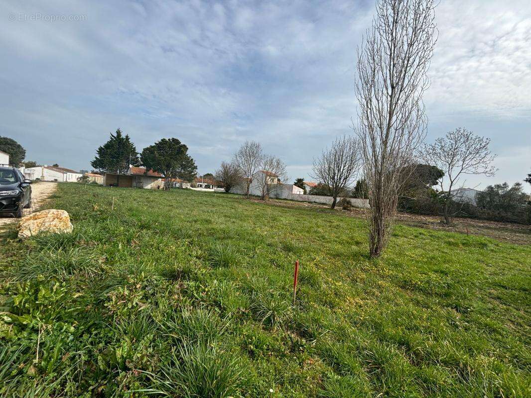 Terrain à SAINT-GEORGES-D&#039;OLERON