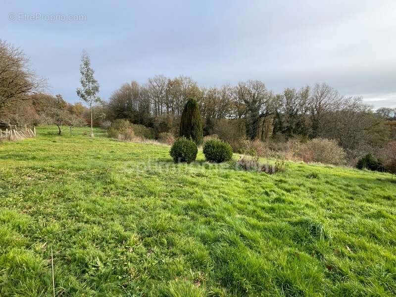 Maison à SAINT-PRIEST-LA-FEUILLE