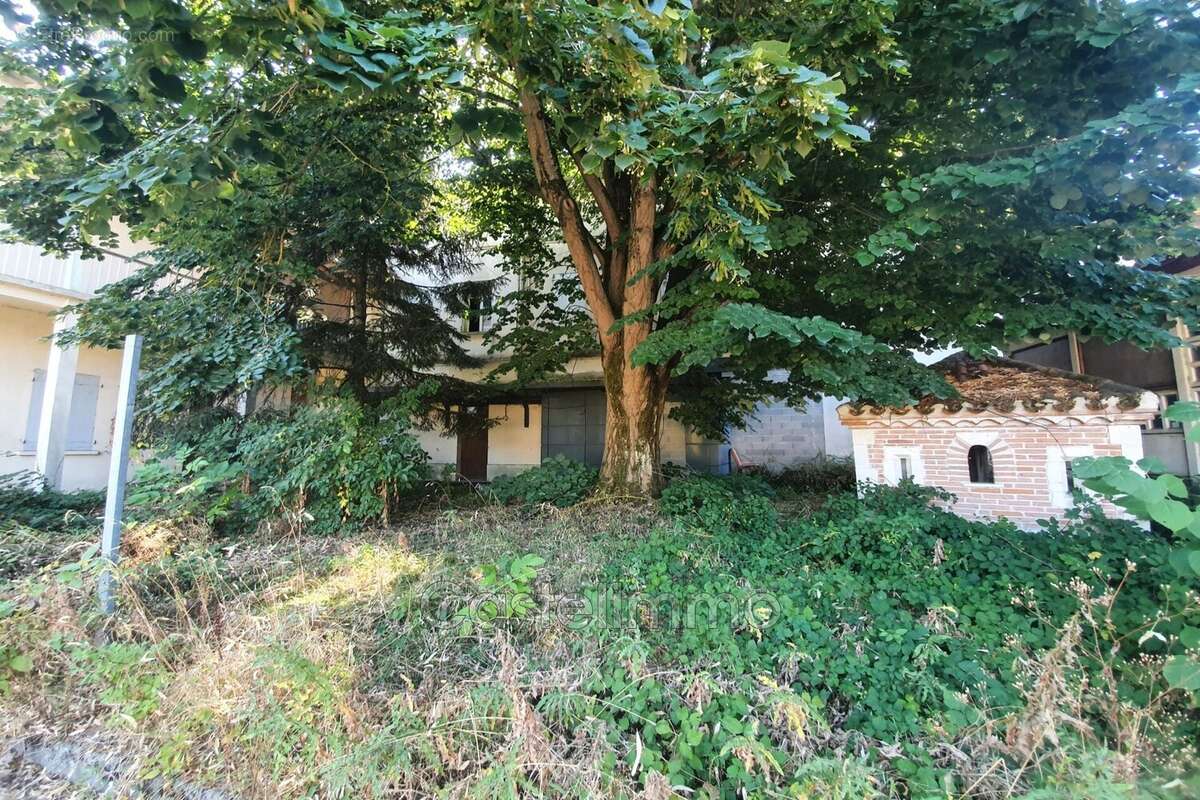 Maison à CASTELSARRASIN