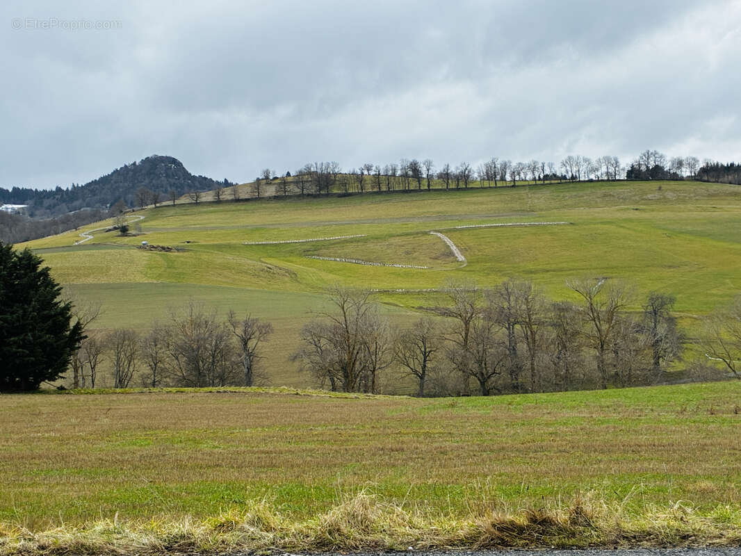 Terrain à YSSINGEAUX