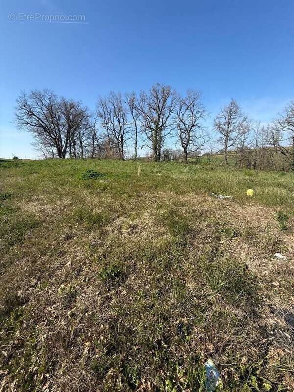 Terrain 655 m² à Lasgraisses  - photo 2