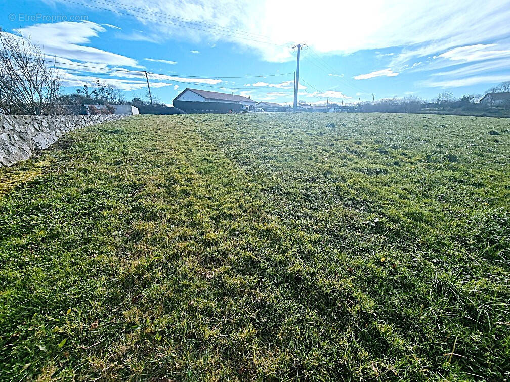 Terrain à SAINT-PALAIS