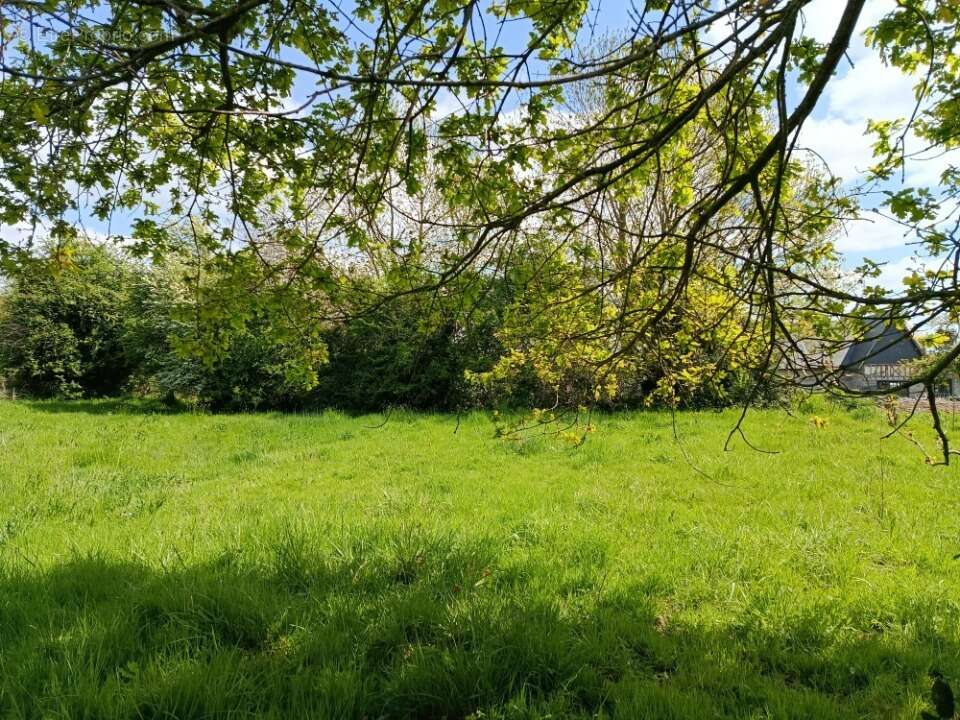 Terrain à SAINT-SYMPHORIEN