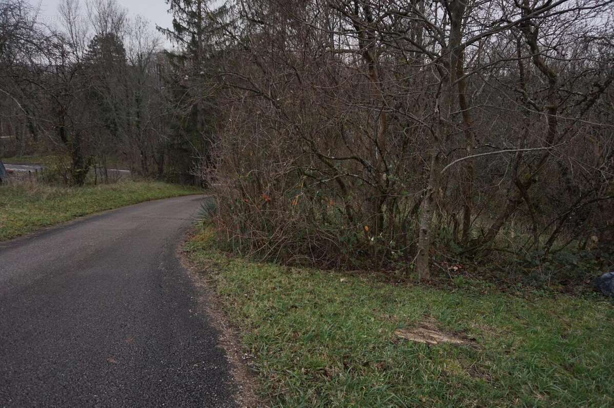 Photo 3 - Terrain à BESANCON