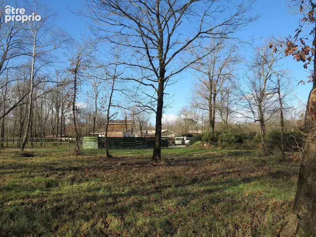 Terrain de 6155 m² dont 1600 m² de constructible - photo 11
